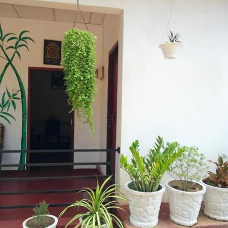 Pawansa Home Stay ハバラナ エクステリア 写真