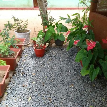 Pawansa Home Stay ハバラナ エクステリア 写真